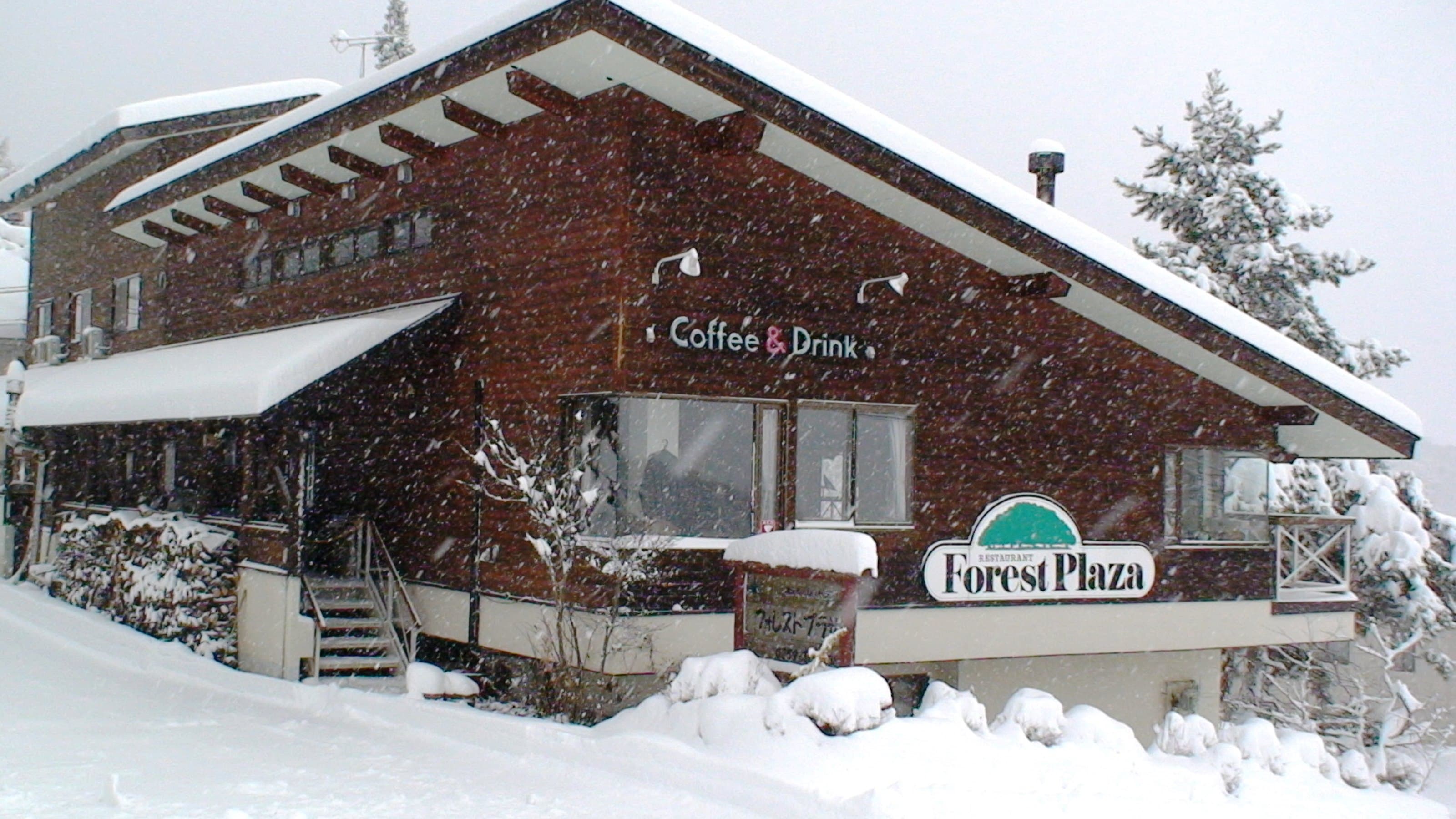 フォレストプラザ