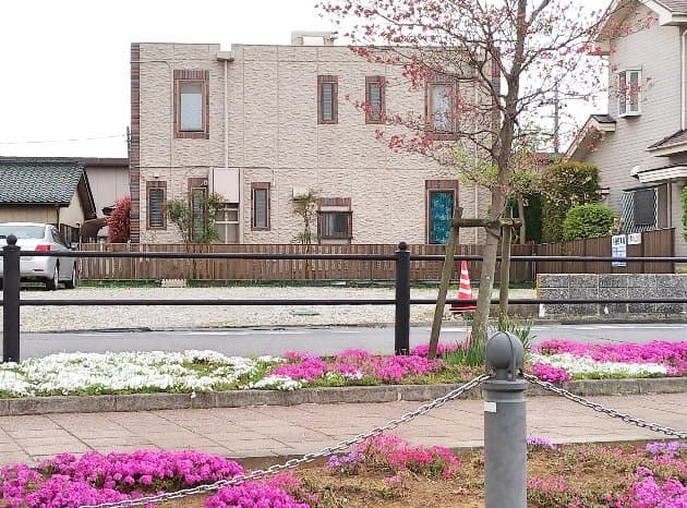 ＭＩＹＡ－ｓｈａｎｇ／民泊