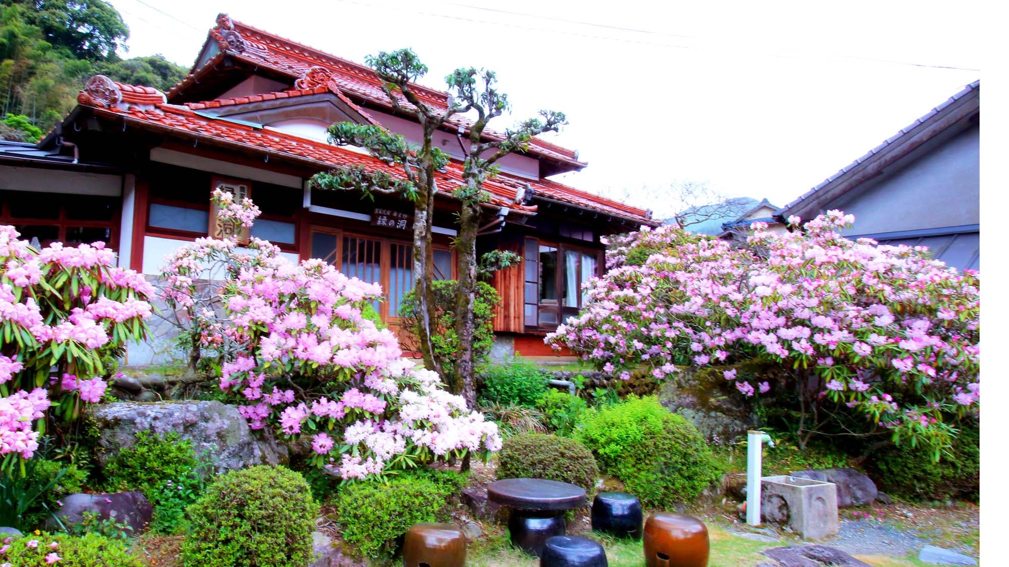 奥星野　農家の宿　緑の洞