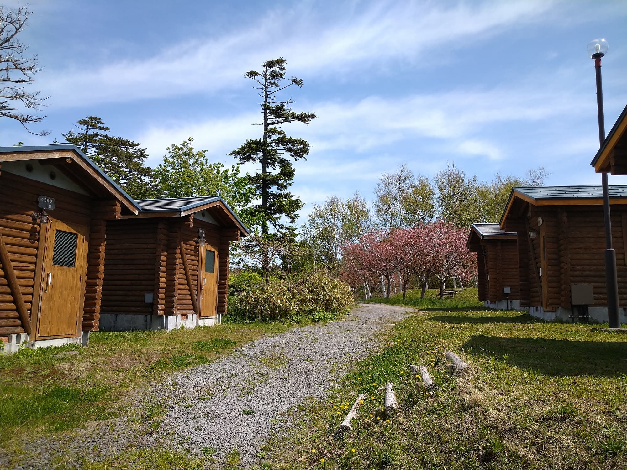 利尻町森林公園キャンプ場＜利尻島＞