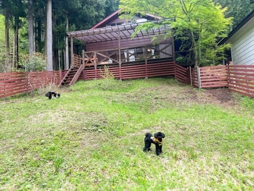 Ｌ＆Ｂ　Ｄｏｇｇｙ　Ｃｏｔｔａｇｅ／民泊