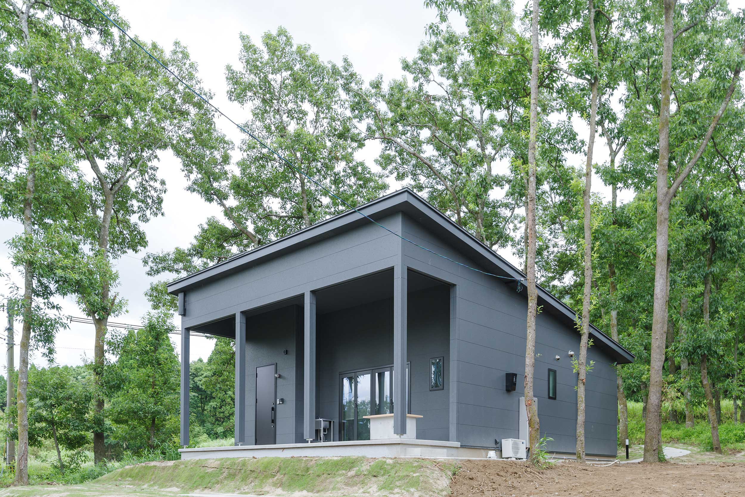 ＤＡＨＡＲＡ　Ｓ－３