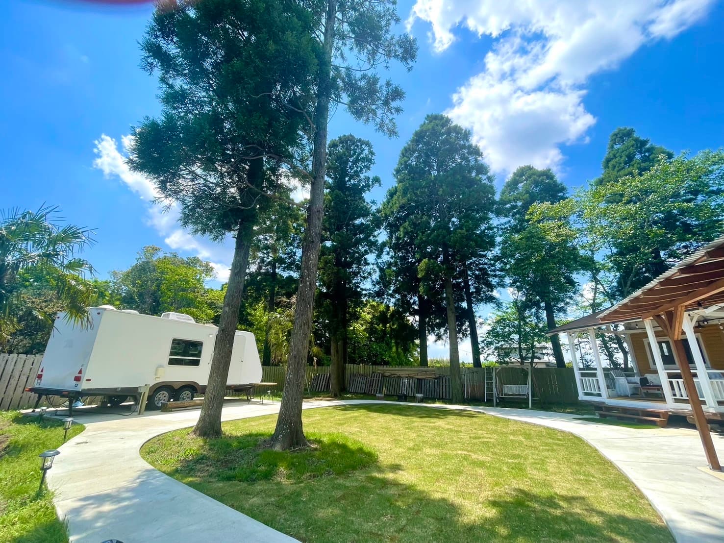 Ｈａｌｅ　Ｌｕａｎａ　－　Ｆｏｒｅｓｔ