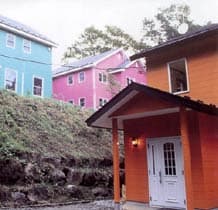 犬と遊べるペンション　ありの塔