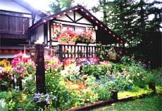 アルペン　フローラ