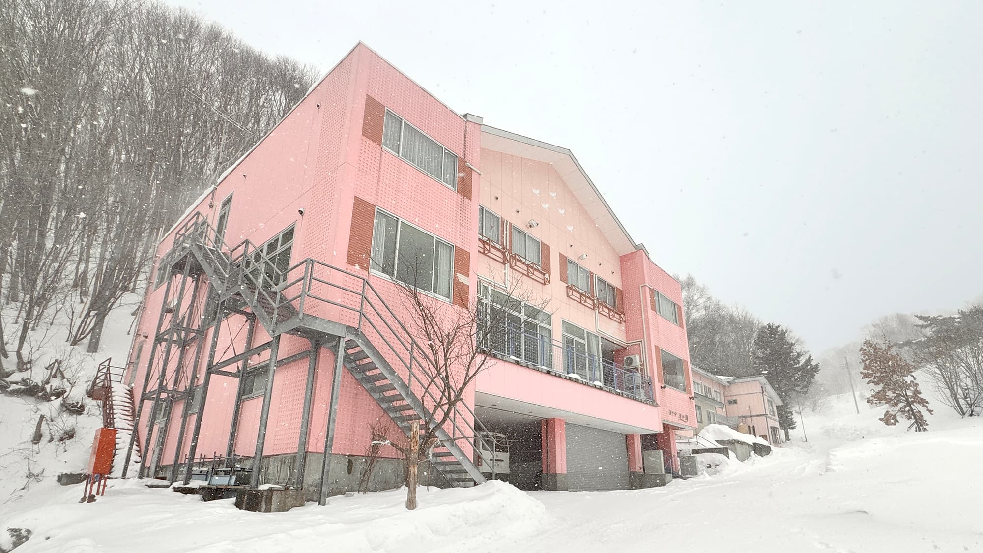 ロッヂ　白い鳥