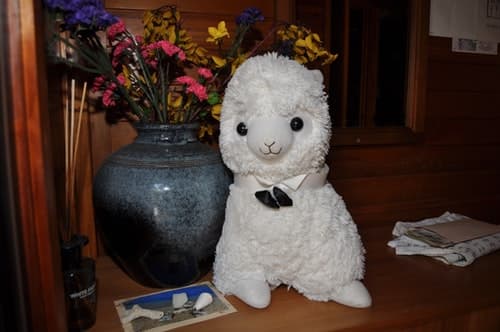 【密無し・消毒対策】ペンション沖縄・森のひつじ ^