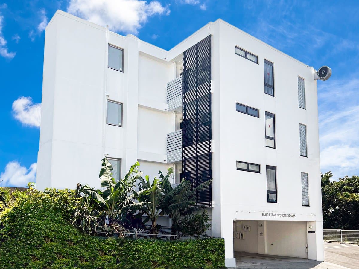 BLUE STEAK WONDER SENAHA