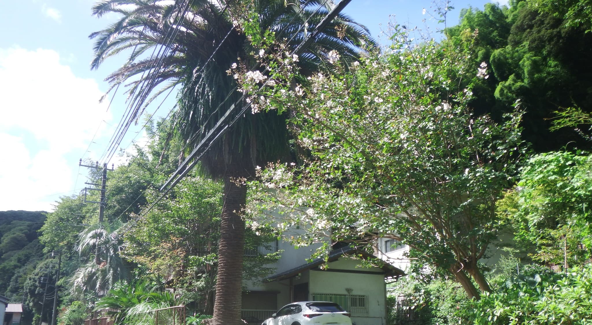 Guesthouse かじか苑