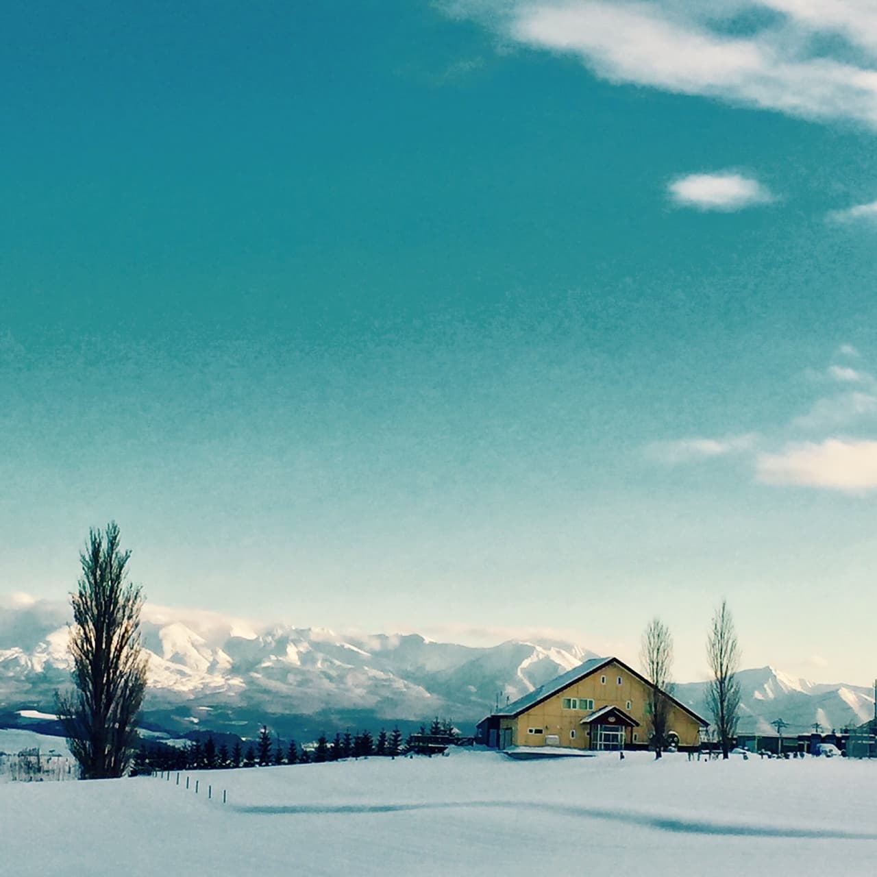 B&B ケンとメリー