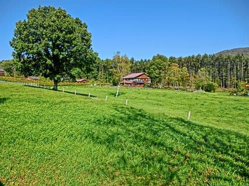 キッズペンションめーぷる