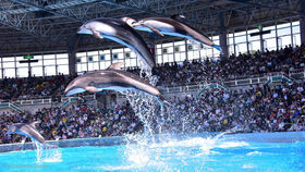 アドベンチャーワールド周辺ホテル特集