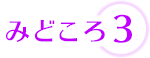 みどころ3